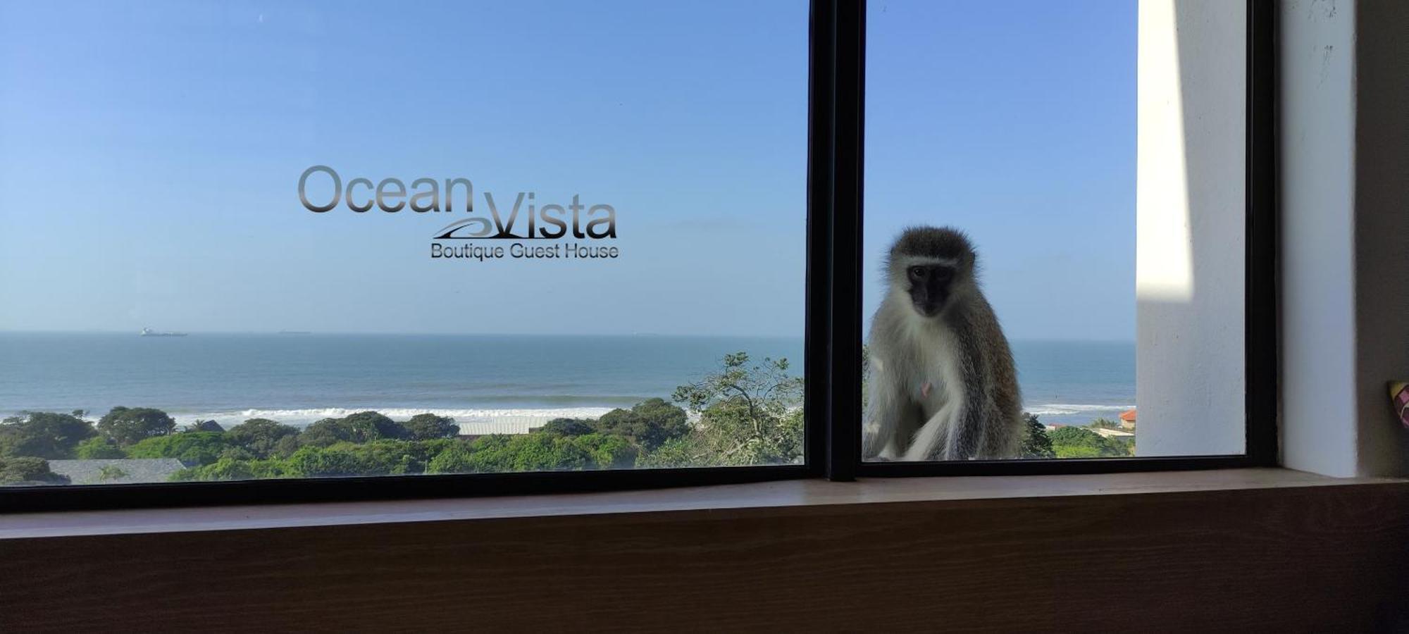 Ocean Vista Boutique Guest House 다반 외부 사진